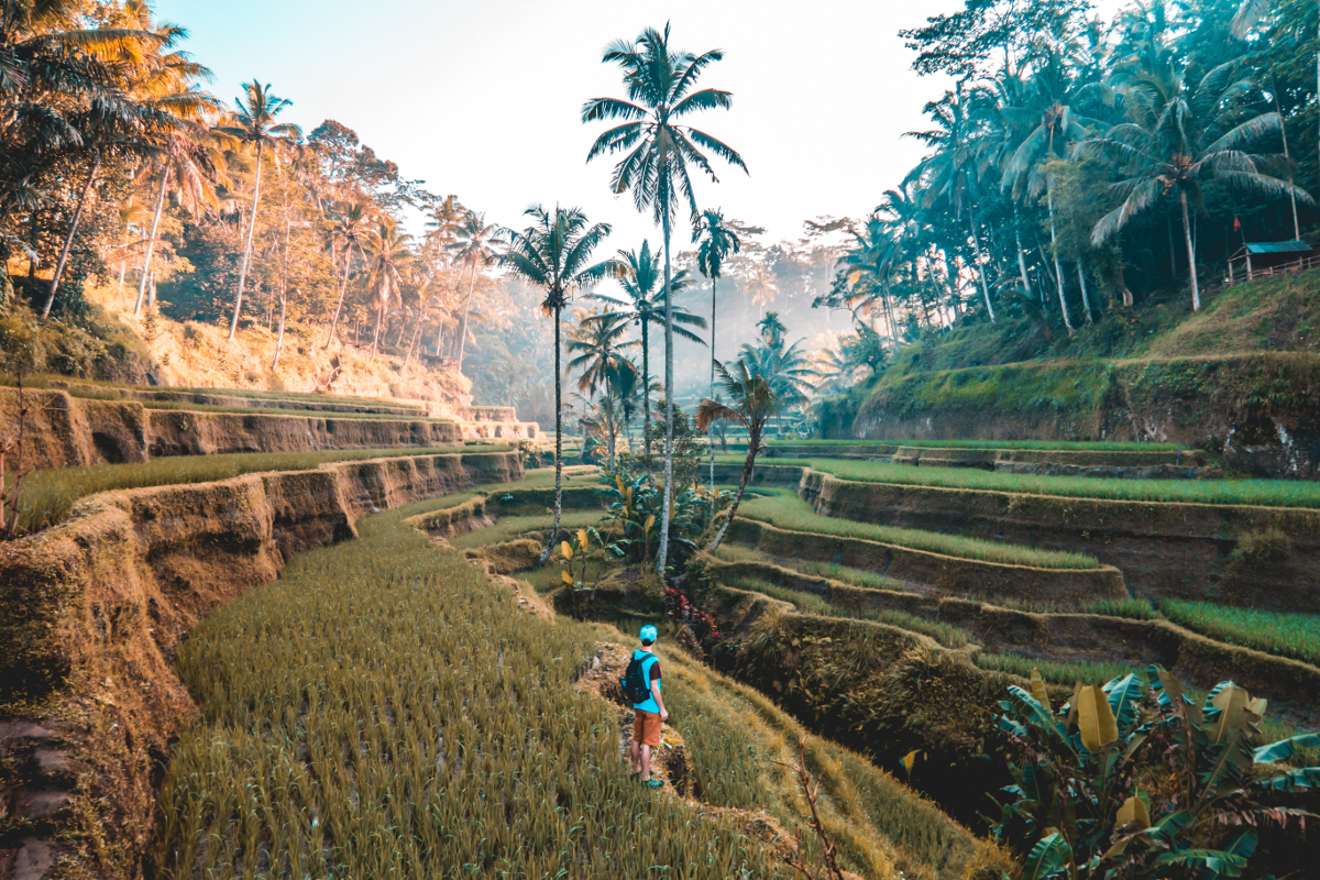 Travel